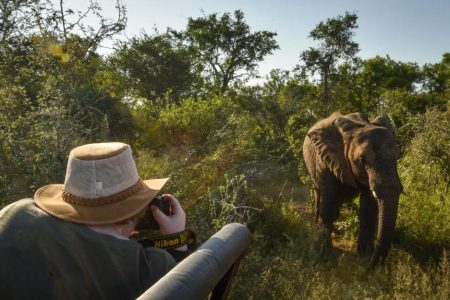 Lion Sands Narina Lodge -Kruger National Park
