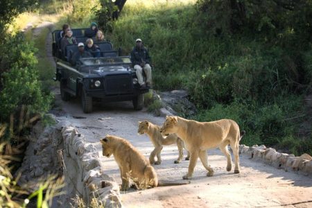 LION SANDS IVORY LODGE | South Africa’s most exclusive safari lodge